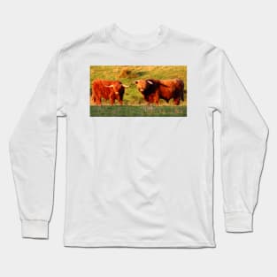 Highland Cows in the Sun Long Sleeve T-Shirt